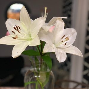 Meet your Posher, Sharon